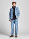 Jack & Jones Mike Jeans