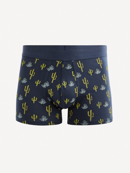 Celio Gibocactus Boxerky