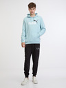 Puma ESS+ 2 Col Big Logo Hoodie TR Mikina