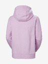 Helly Hansen HH Logo Hoodie 2.0 Mikina