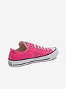 Converse Chuck Taylor All Star Tenisky