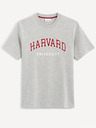 Celio Harvard University Triko